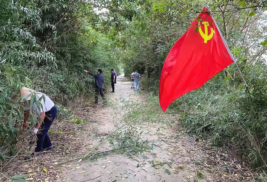 吕亭镇合河村：办实事清路障 党员干部齐上阵-配图.jpg