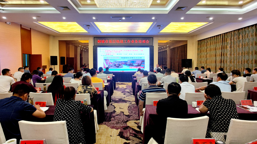 桐城市基层统战工作业务培训会召开.jpg