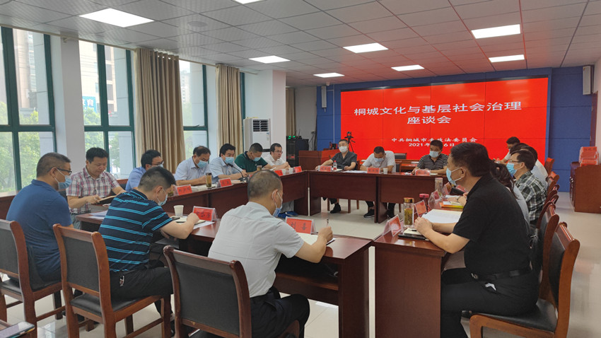 桐城文化与基层社会治理座谈会召开2.jpg