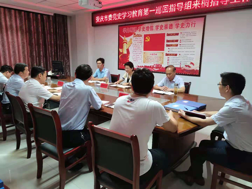 安庆市委党史学习教育第一巡回指导组来桐指导工作.jpg
