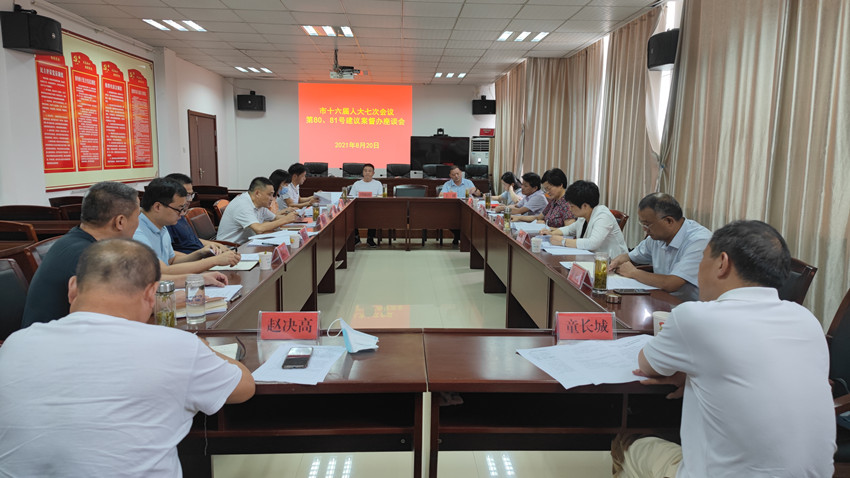 桐城市人大常委会领衔督办重点议案80812_副本.jpg