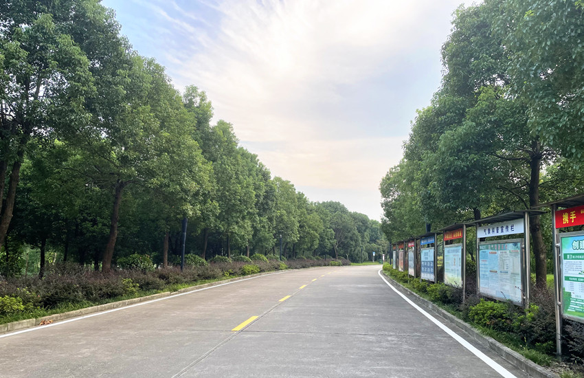 吕亭镇干净整洁的路面.jpg