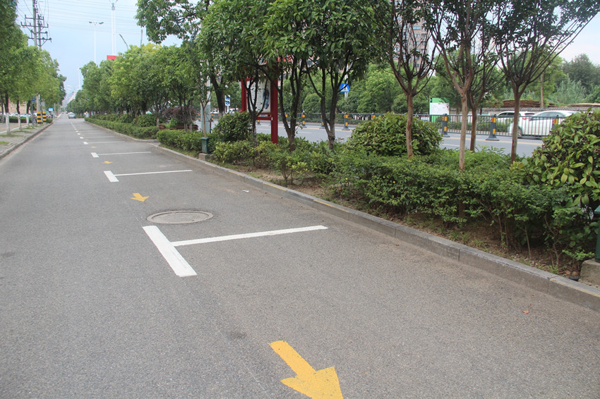 城区  停车位整齐划一.JPG