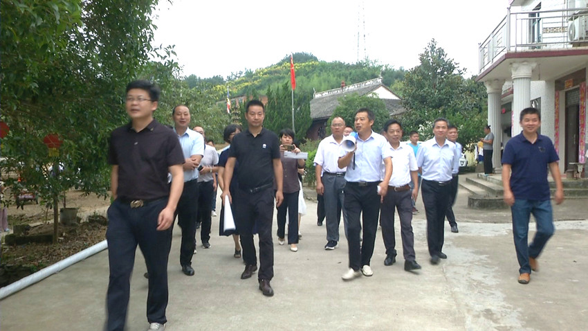 人居环境评比2.jpg