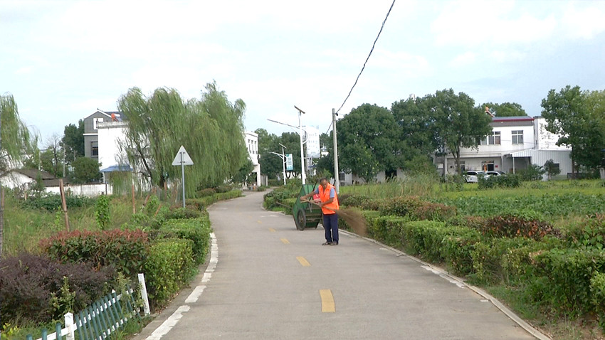土桥村人居环境4.jpg