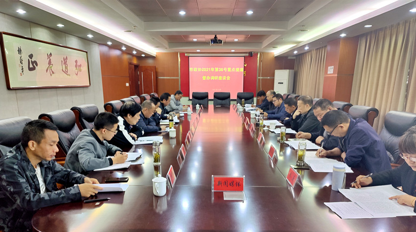 36号提案督办调研会.jpg