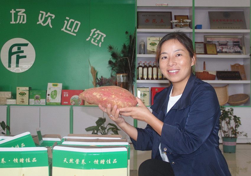 戴双杰展示丰收的红薯.JPG