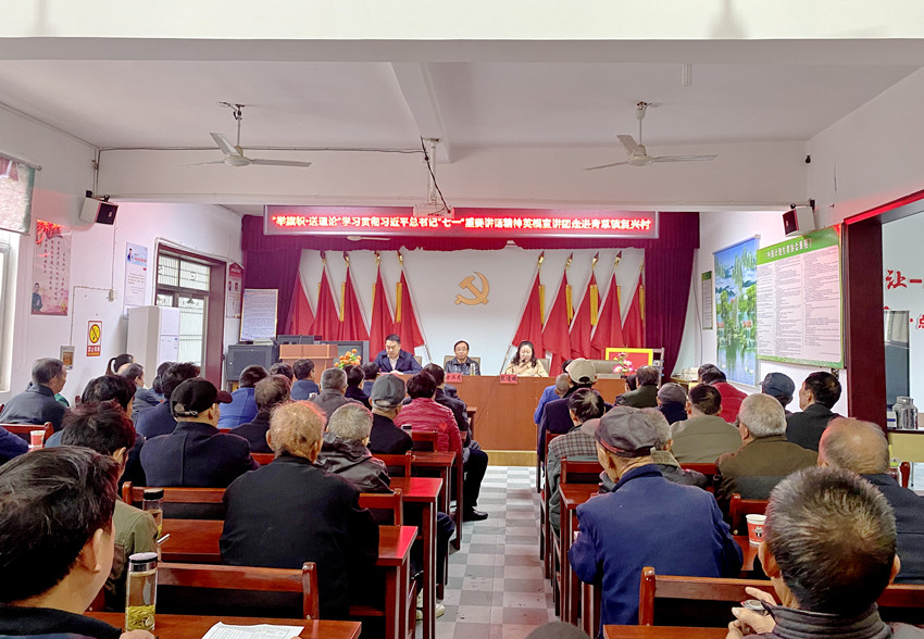 学习贯彻习近平总书记“七一”重要讲话  精神桐城英模宣讲团走进青草镇1.jpg