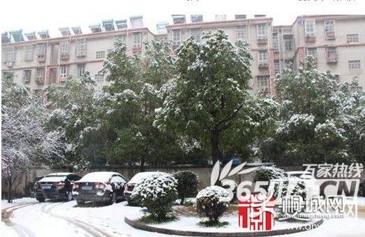安庆再飘大雪 岳西气象局发布暴雪蓝色预警