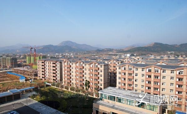 查看原图