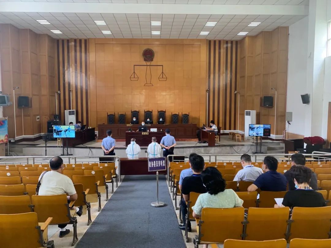 庭审零距离，政协委员走进桐城法院旁听庭审(图3)